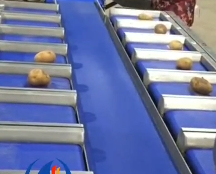 土豆配重機